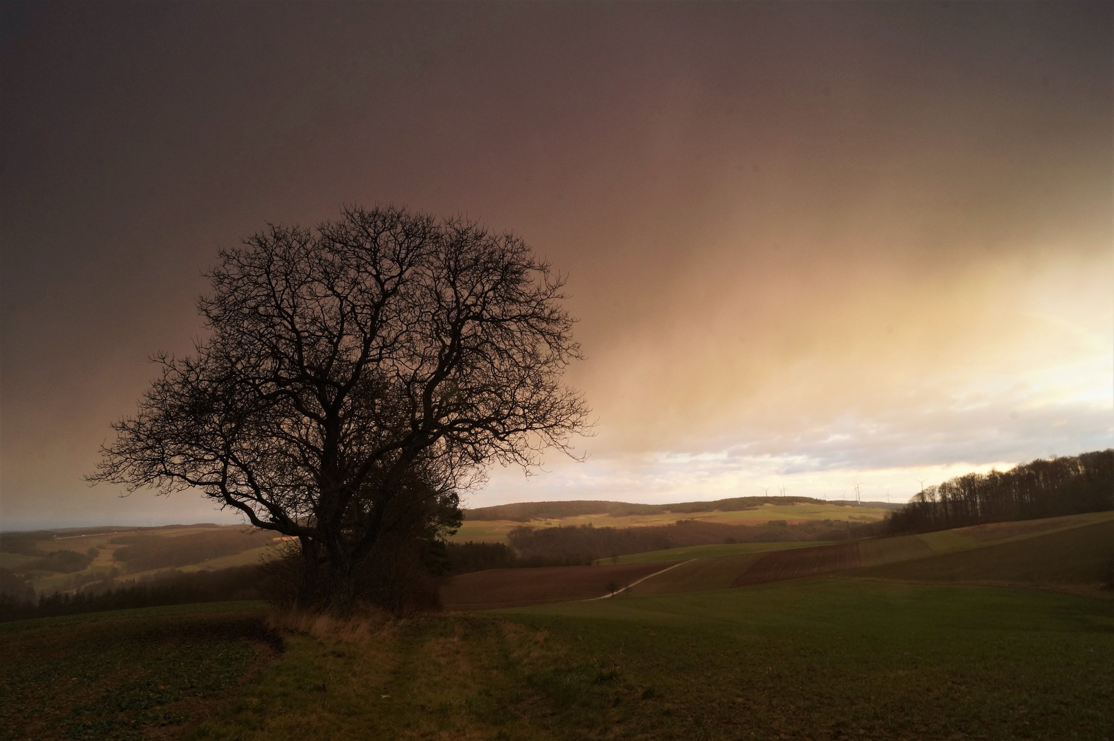 Zwischen Main- und Taubertal.