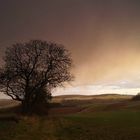 Zwischen Main- und Taubertal.