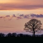 zwischen Mascherode und Salzdahlum