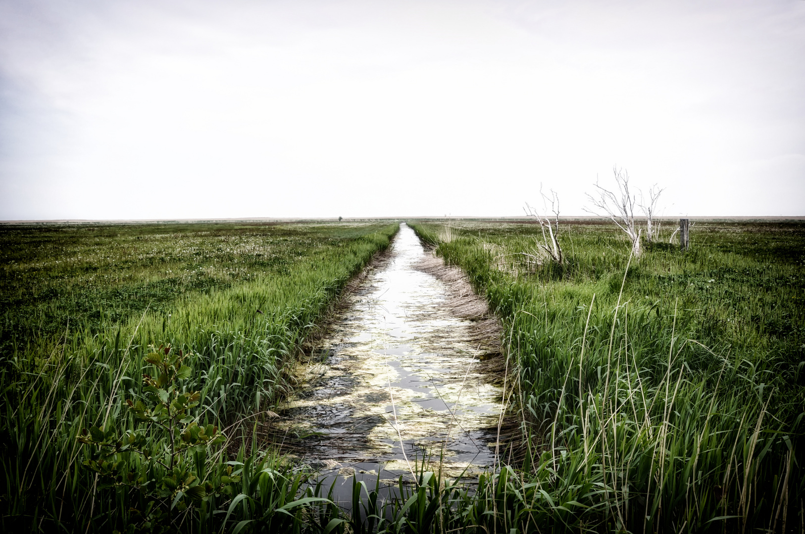 Zwischen Meer und Bodden