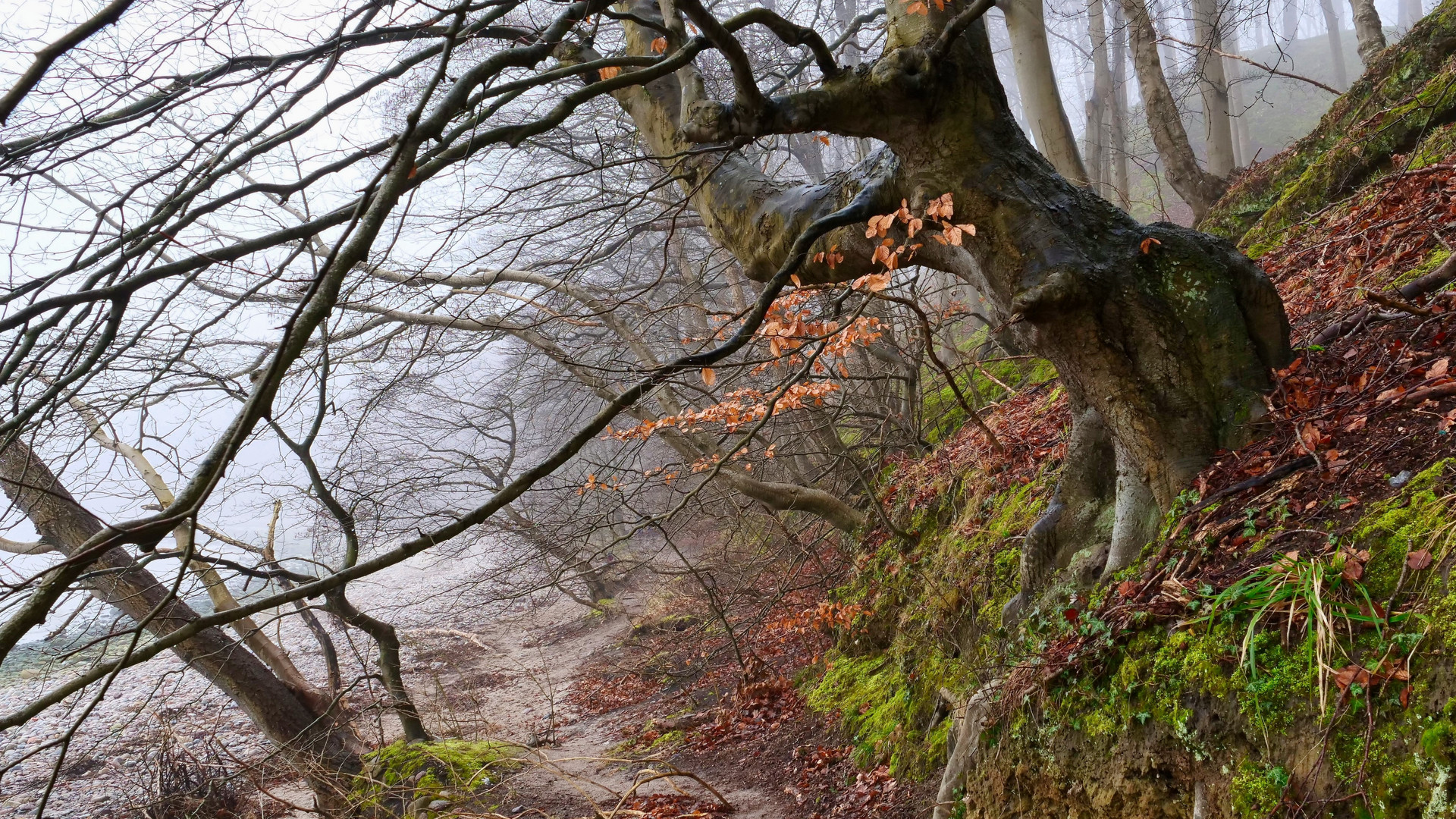 Zwischen Meer und Wald