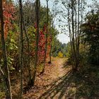 Zwischen Meteo- und Kalenderherbst