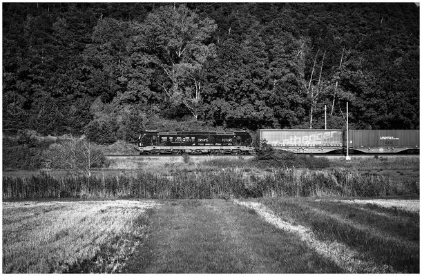 Zwischen Mitteldachstetten und Rosenbach