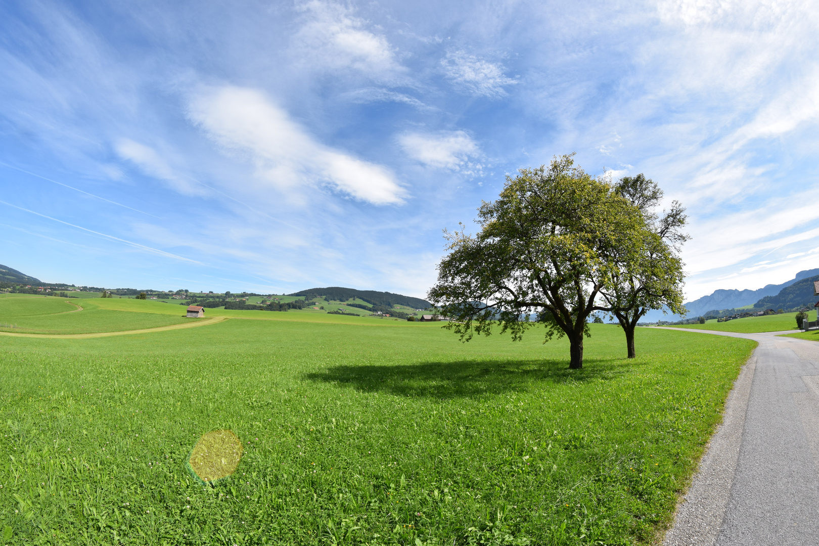 Zwischen Mondsee und Irrsee