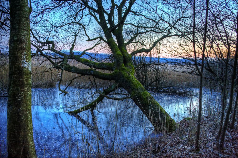 zwischen moor und heide