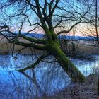 zwischen moor und heide