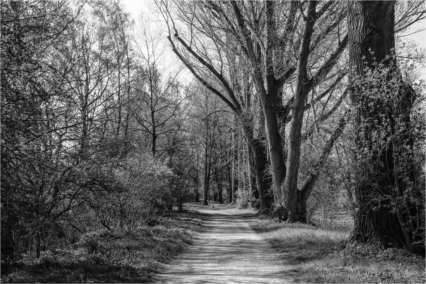 Zwischen Mulde und Stausee Glauchau (1)