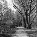 Zwischen Mulde und Stausee Glauchau (1)