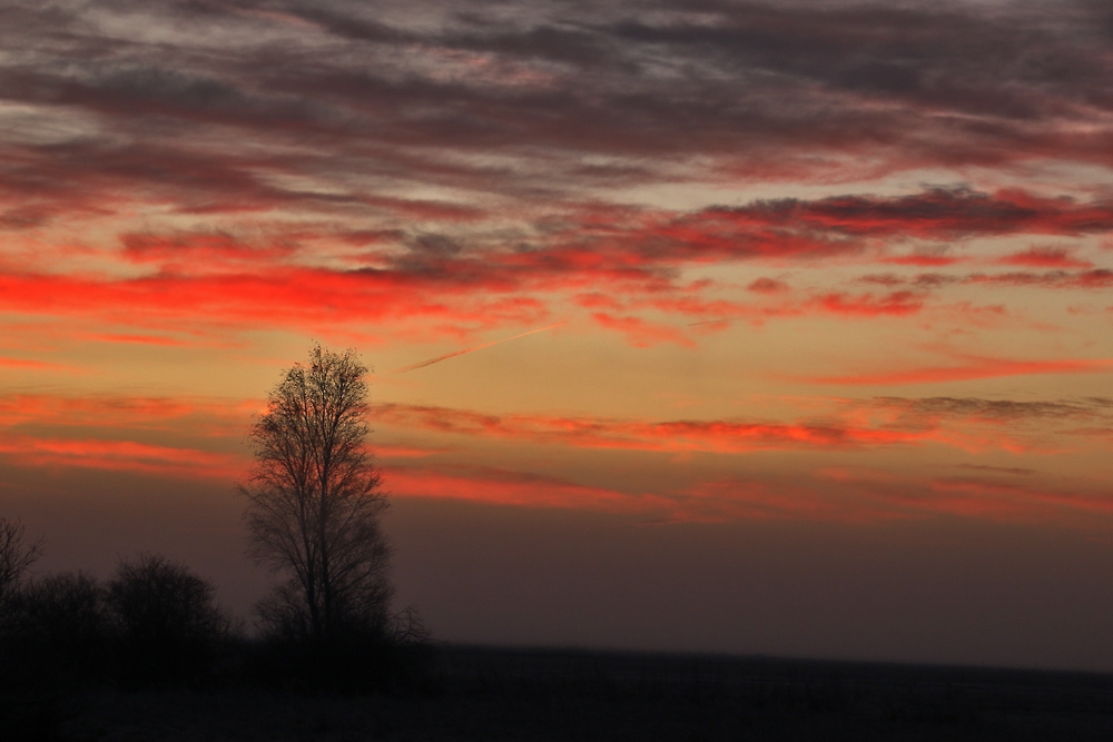 zwischen Nacht und Morgenanbruch