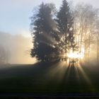 Zwischen Nebel und blauem Himmel