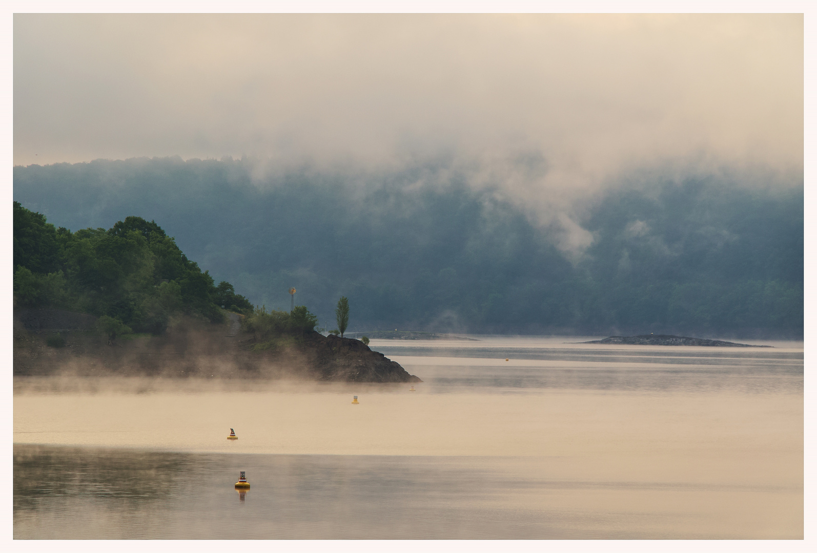 Zwischen Nebel und Licht