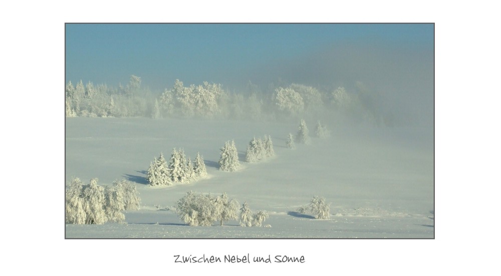 Zwischen Nebel und Sonne