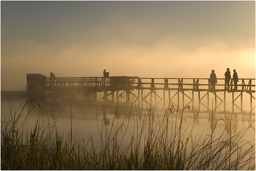 zwischen Nebel und Sonne