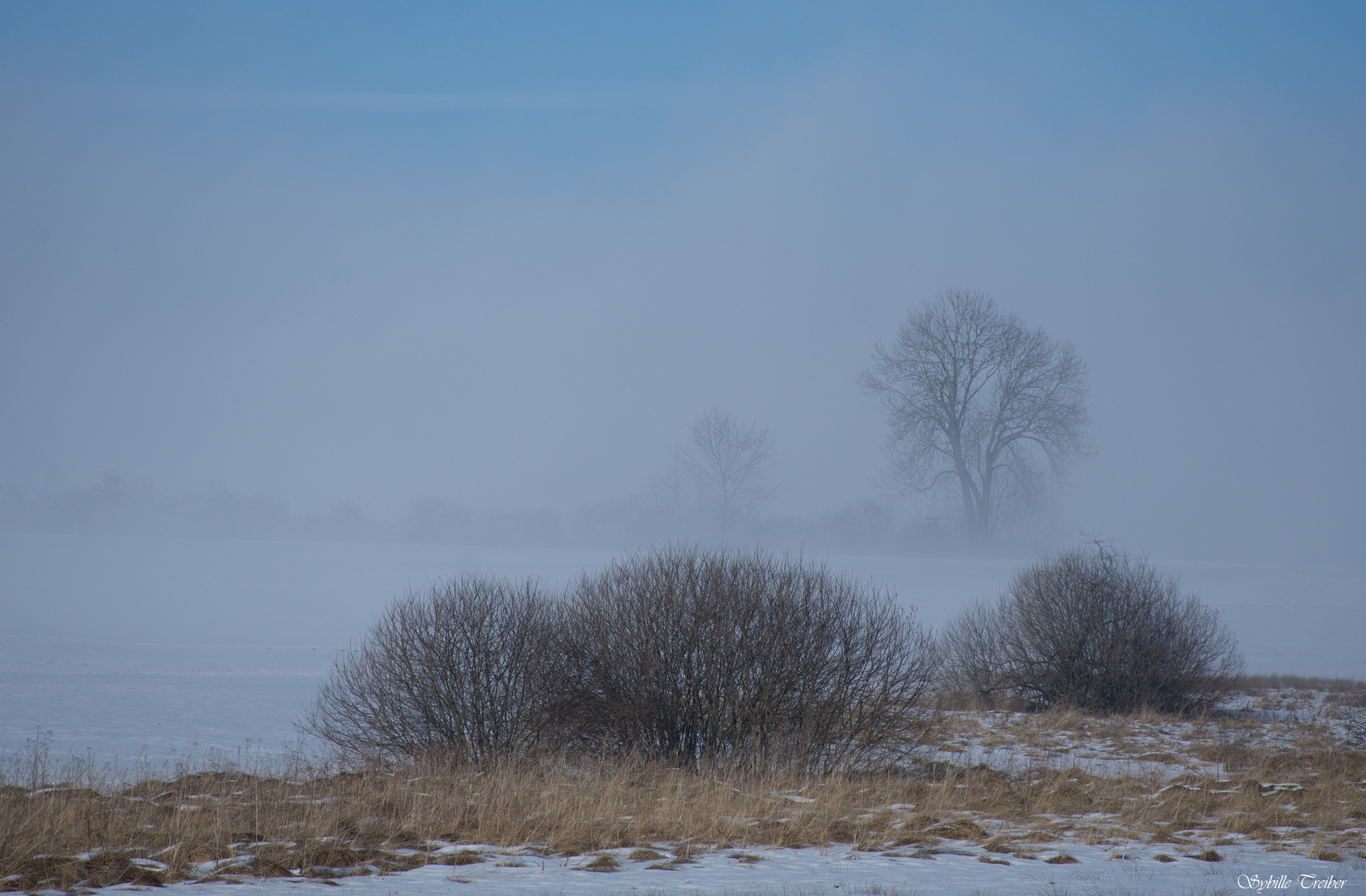 Zwischen Nebel und Sonne