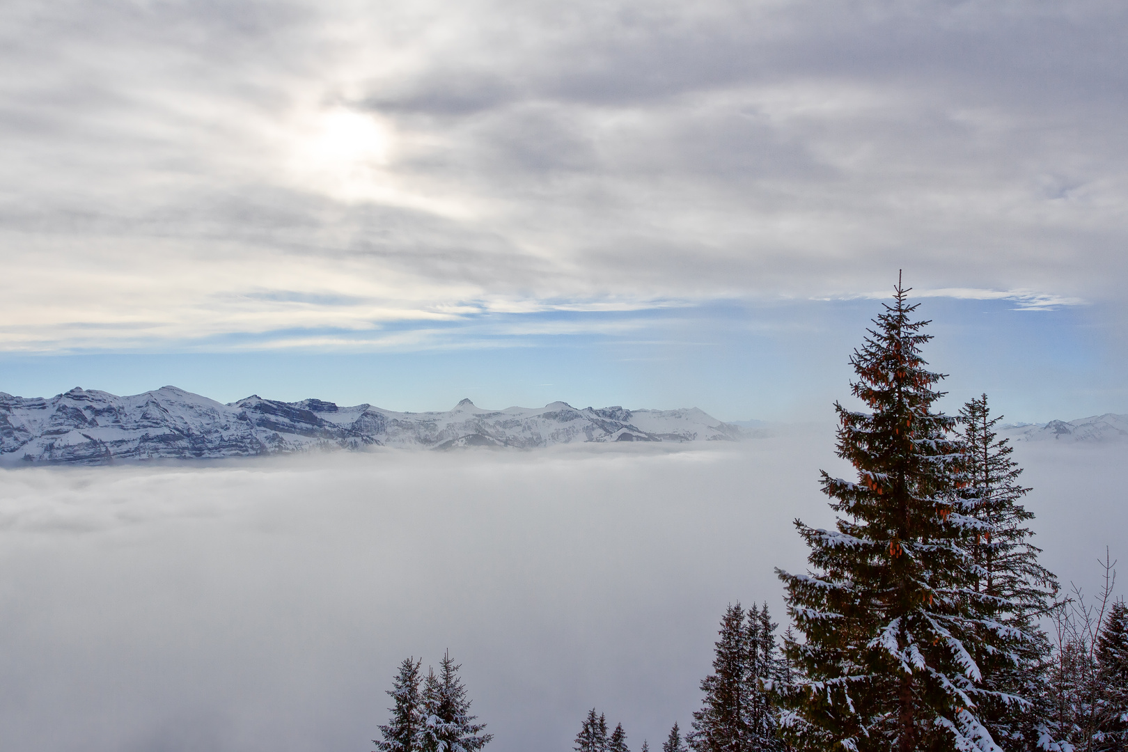 Zwischen Nebel und Wolken