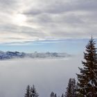 Zwischen Nebel und Wolken