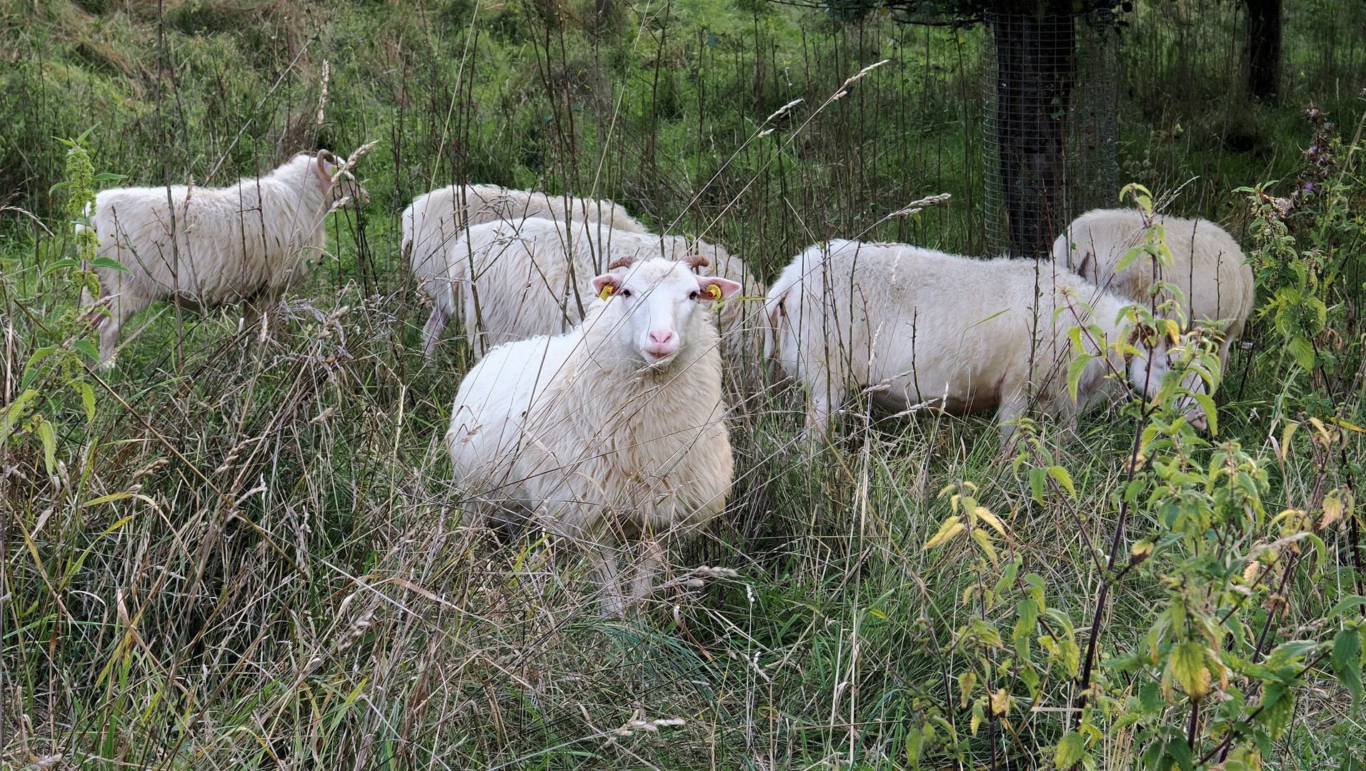 Zwischen Neugier und Angst …