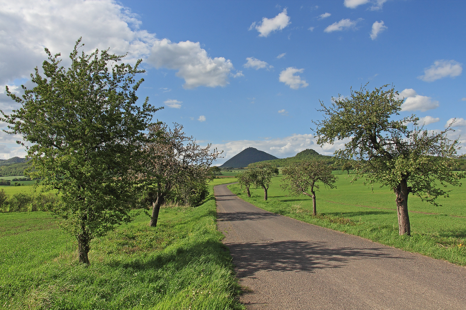 Zwischen Ostern und Pfingsten