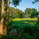 Zwischen Ostsee und Achterwasser I