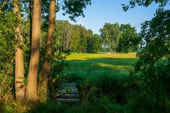 Zwischen Ostsee und Achterwasser I