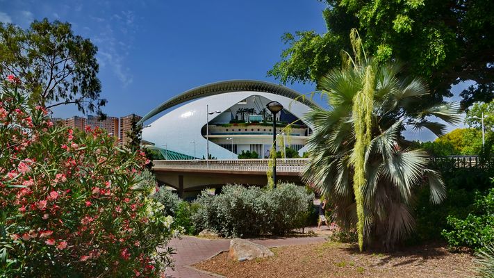 Zwischen Palmen und Oleander