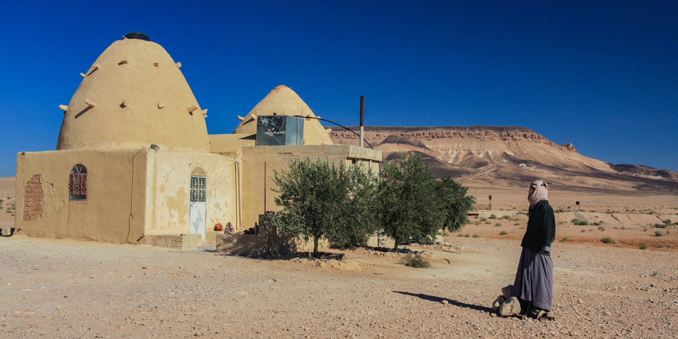 Zwischen Palmyra und Damaskus... (Archivaufnahme 2009)