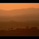 zwischen Pienza und Siena