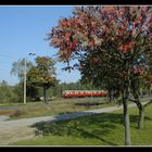 Zwischen Rahnsdorf und Friedrichshagen