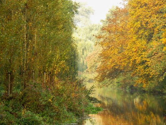 zwischen Rietberg und Warendorf ...