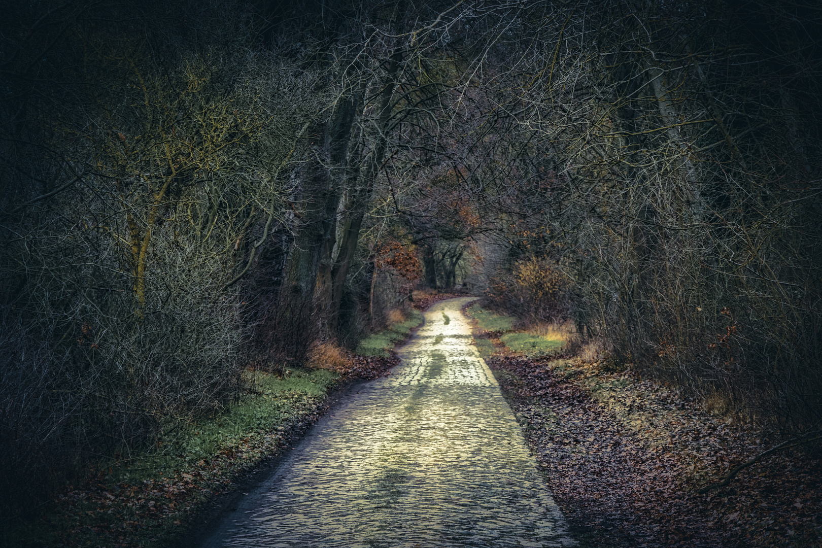 Zwischen Ringenwalde und Poratz