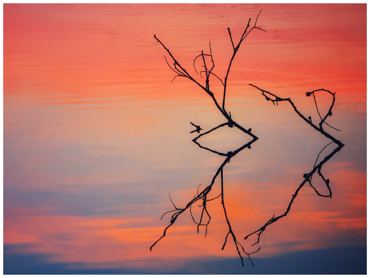 Zwischen Rot und Blau