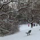 Zwischen Rot und Grün