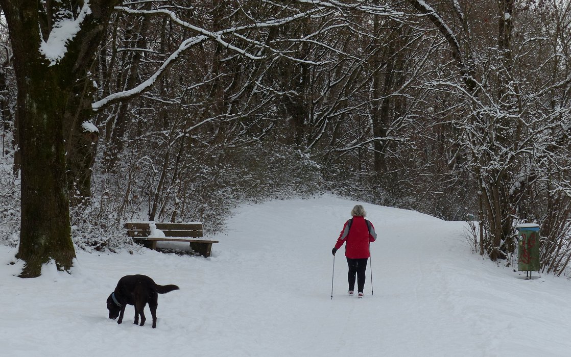 Zwischen Rot und schwarzem Hund