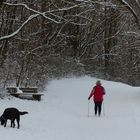 Zwischen Rot und schwarzem Hund