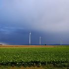 Zwischen Rüben und Regen