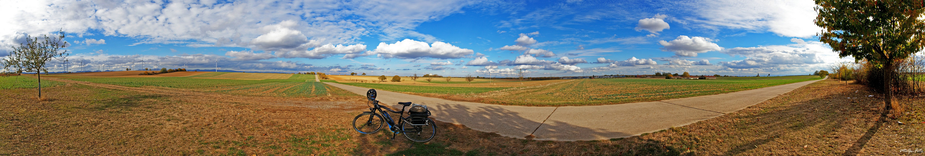 Zwischen Rülzheim und Bellheim