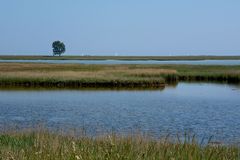 zwischen Schlei und Ostsee