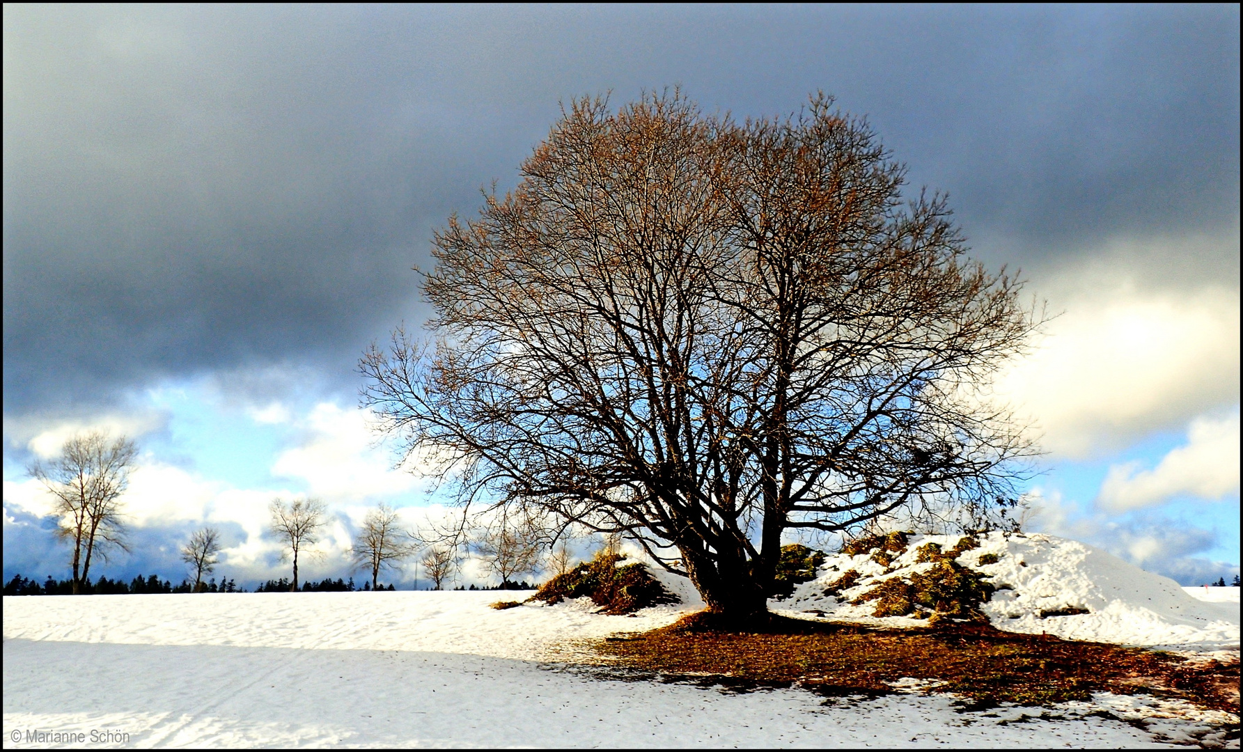 Zwischen Schneefall und Regenwetter...