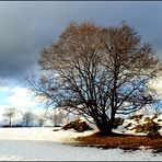 Zwischen Schneefall und Regenwetter...