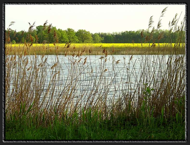 zwischen See und Wald