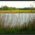 zwischen See und Wald