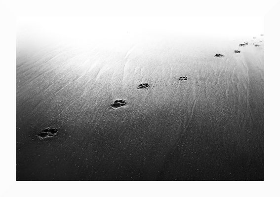 Zwischen Sein und Verschwinden