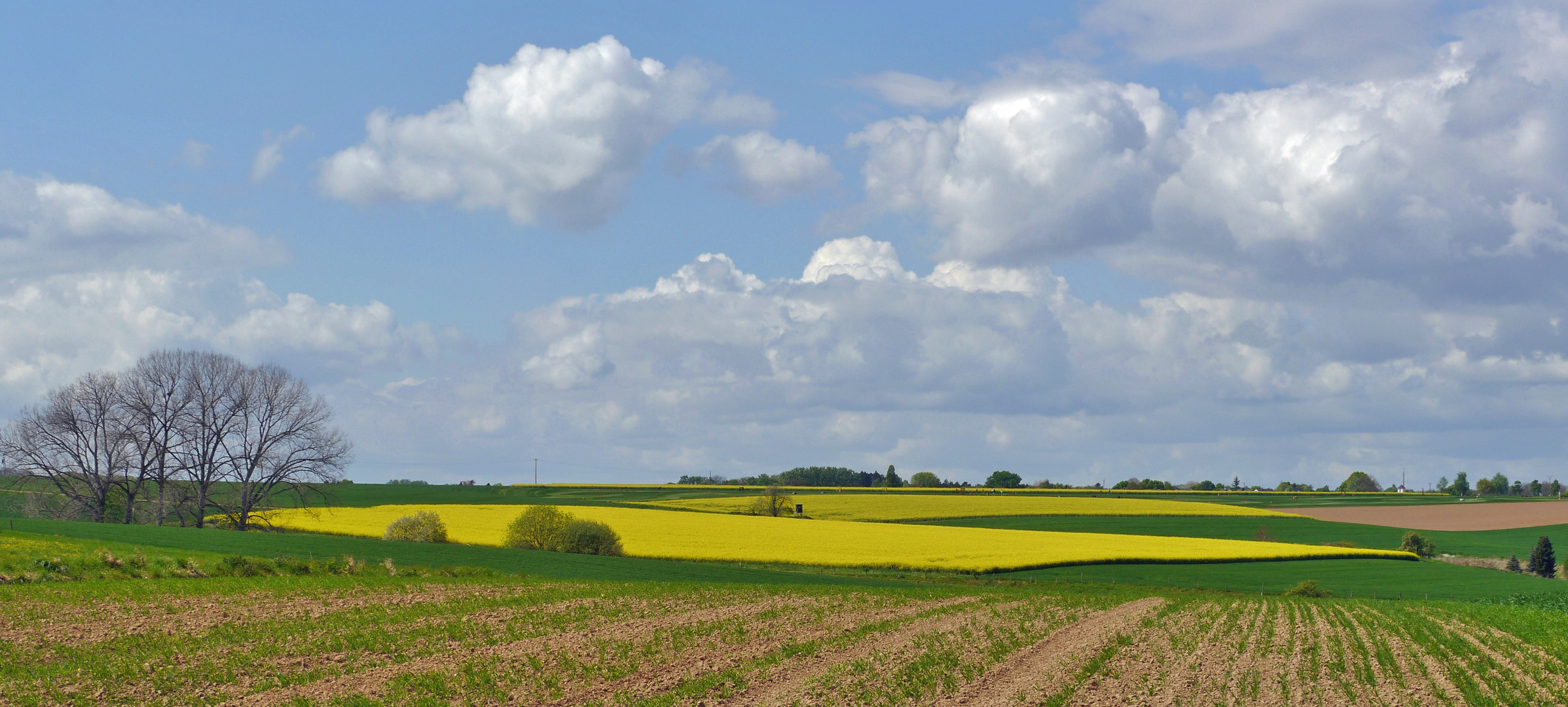 ... zwischen Siebengegirge und Westerwald ...