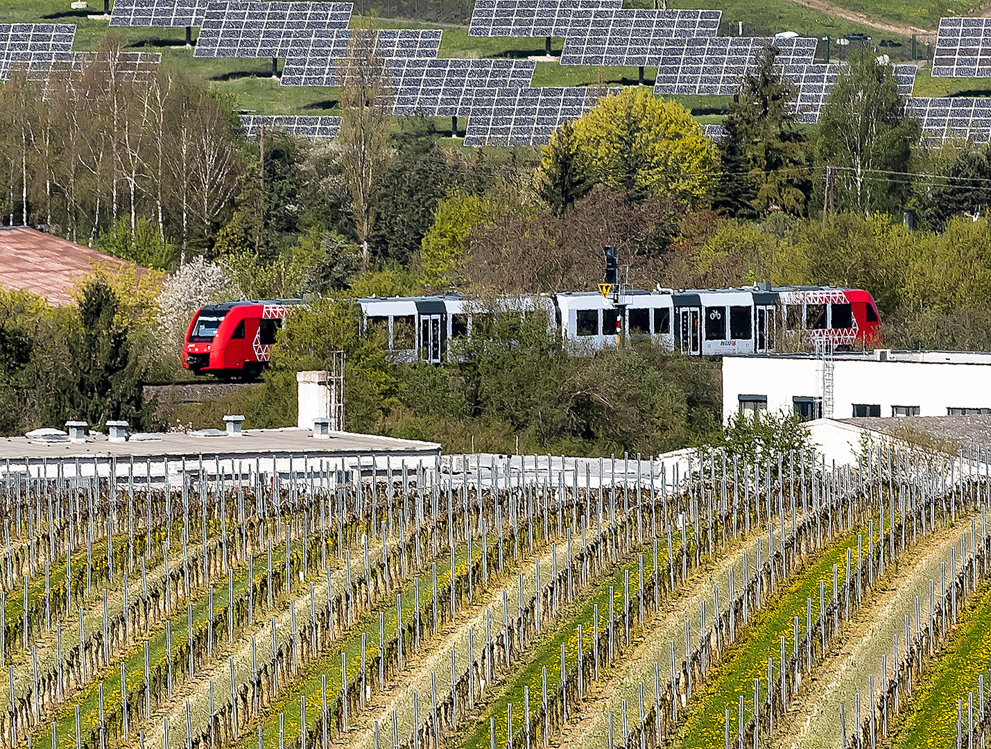 Zwischen Solarfeldern und Weinbergen