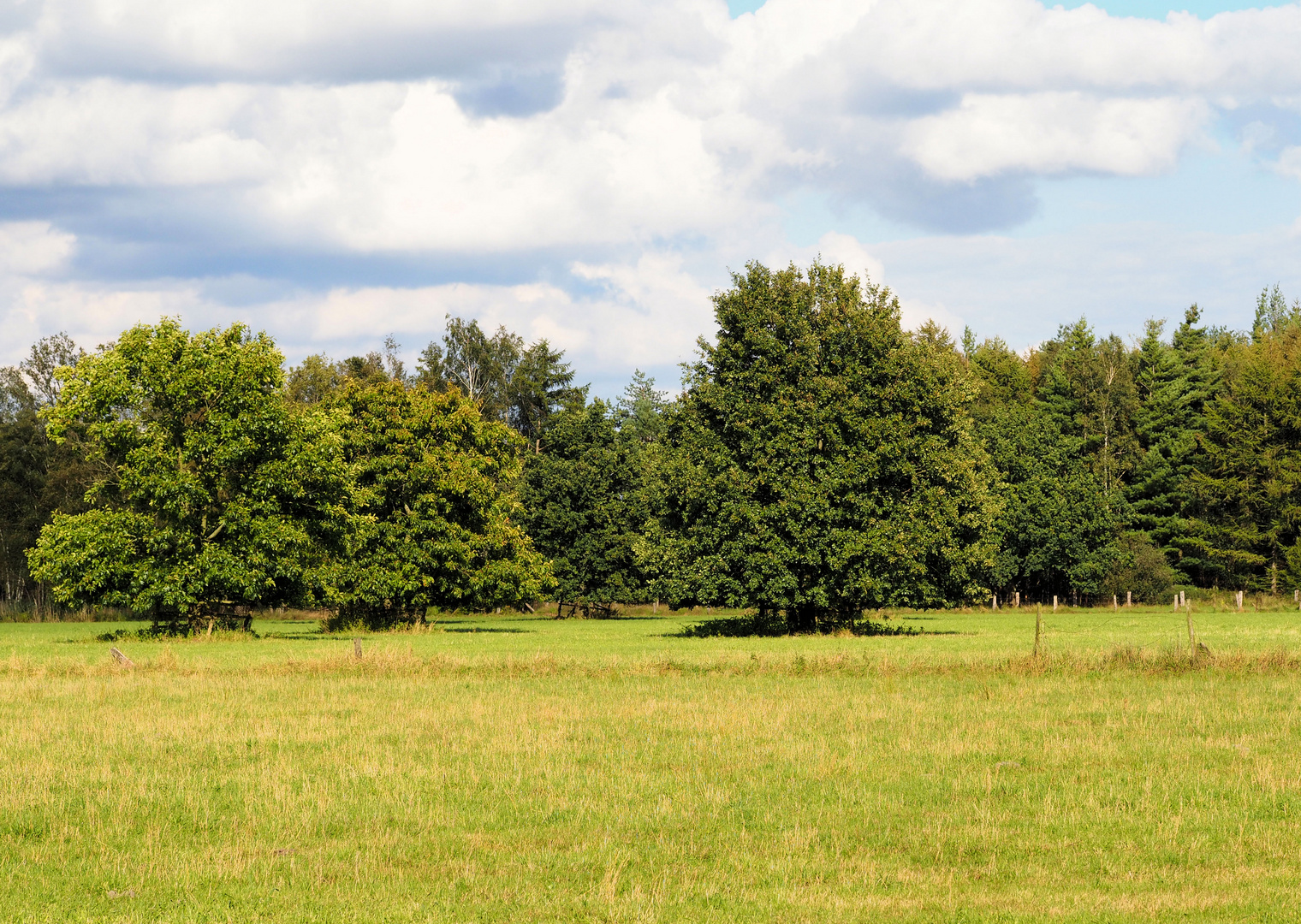 Zwischen Sommer und Herbst ...