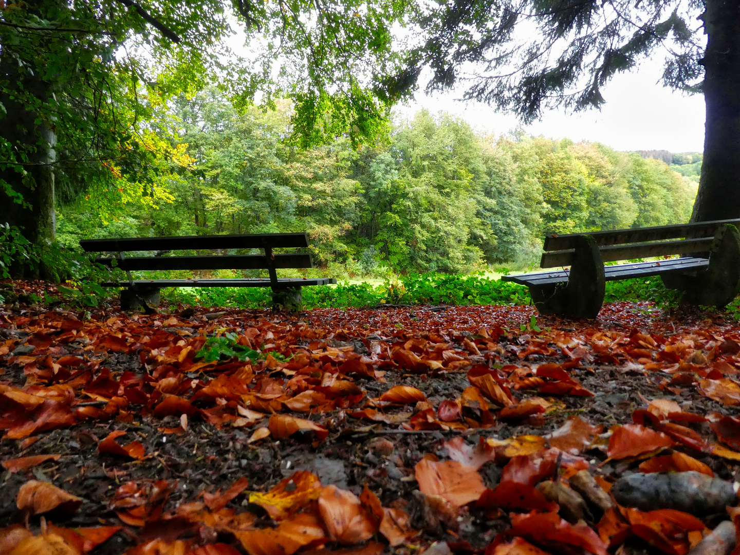 Zwischen Sommer und Herbst