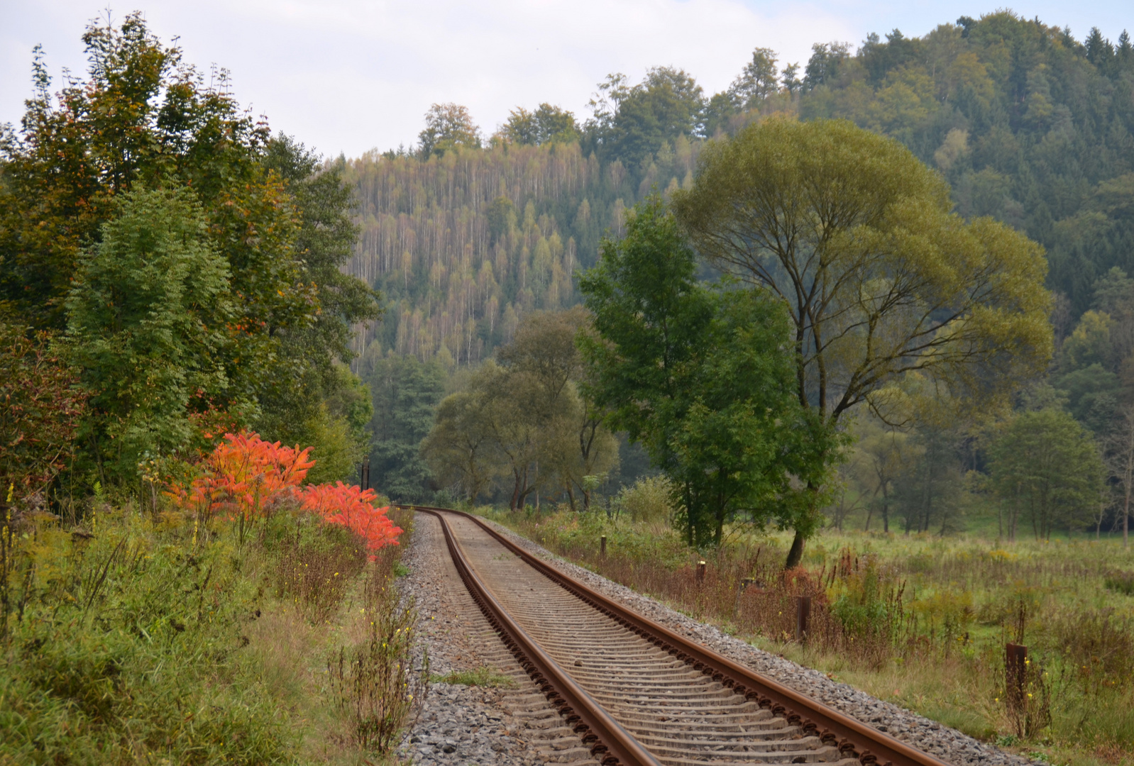 Zwischen Sommer und Herbst