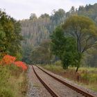 Zwischen Sommer und Herbst