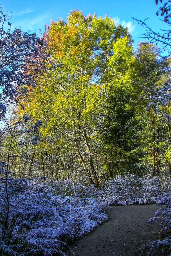 Zwischen Sonne und Frost