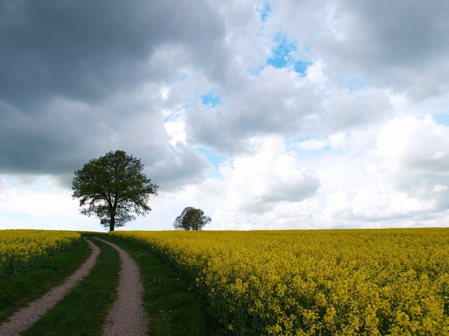 zwischen sonne und gewitter 2